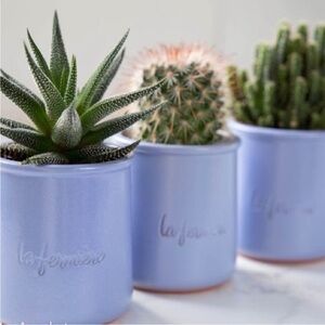 Six la fermiere clay pots